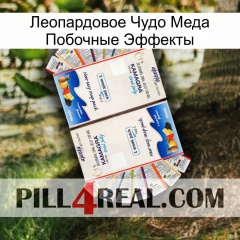 Леопардовое Чудо Меда Побочные Эффекты kamagra1